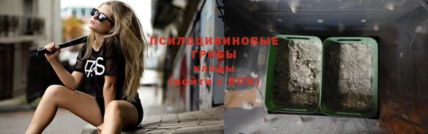 mix Козельск