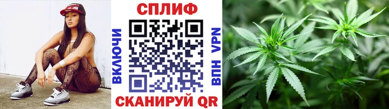 Каннабис сатива  Купить где  Бахчисарай 